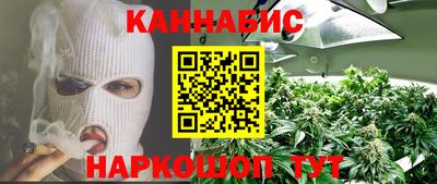 стафф Кингисепп