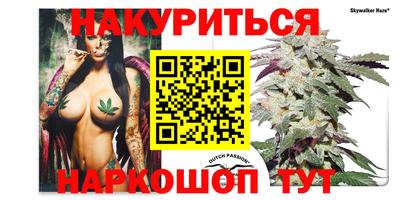 стафф Кингисепп